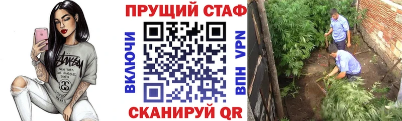 Купить ГАШ Кокаин A PVP Галлюциногенные грибы МЕФ Вязьма