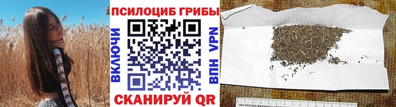 Купить где Вязьма Псилоцибиновые грибы прущие грибы