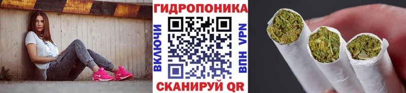 Шишки марихуана сатива  Купить закладки  Вязьма 